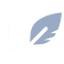 NeuronWriter logo
